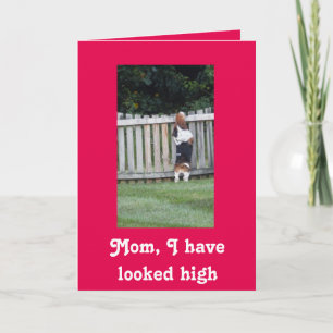Basset Hound Mother's Day card