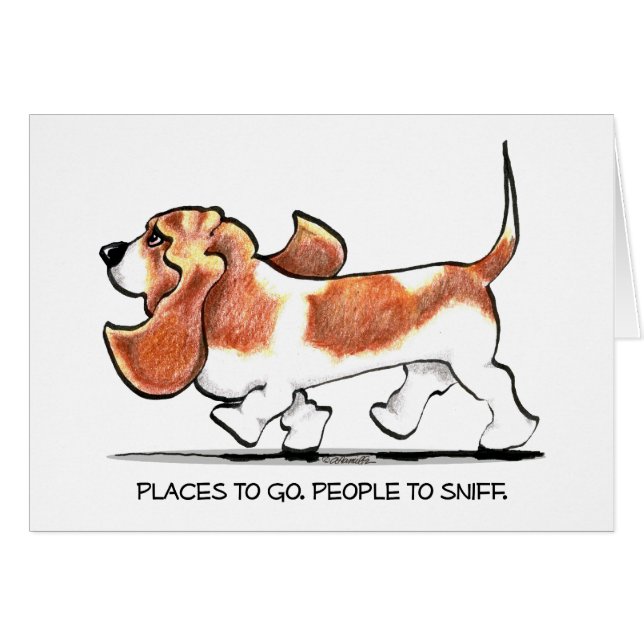 Basset Hound occupé (Devant horizontal)