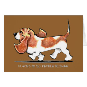 Basset Hound occupé