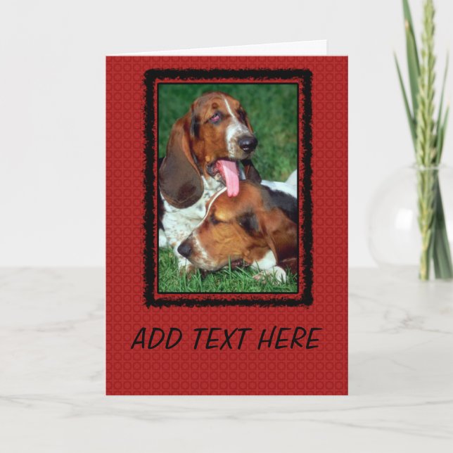 Basset Hound Photograph Card (Front)