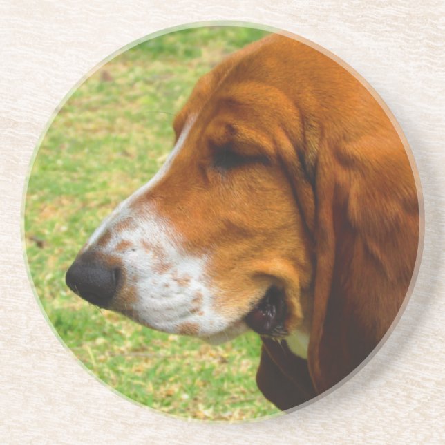 basset-hound.png coaster (Front)
