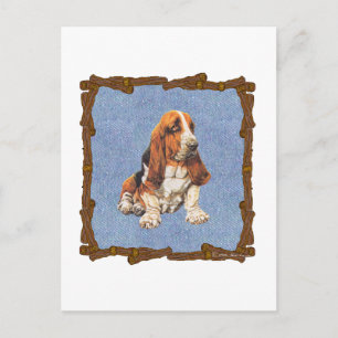 Basset Hound Postcard