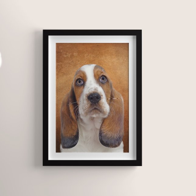 Basset Hound Poster (Creator Uploaded)