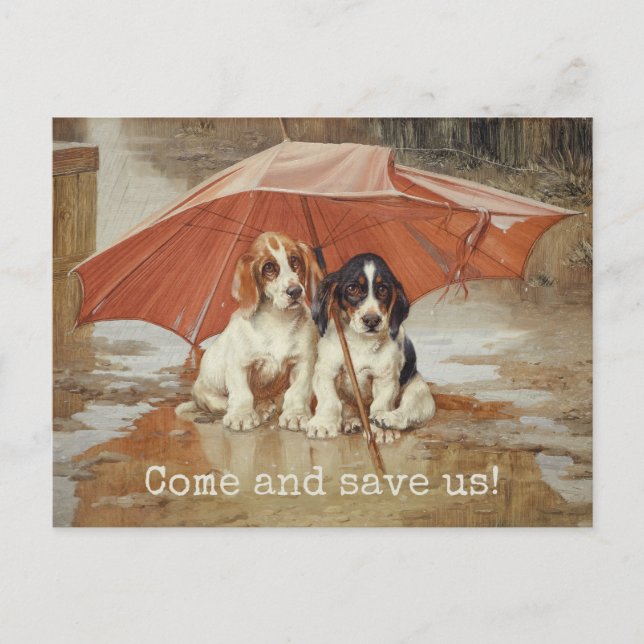 Basset hound puppies under umbrella CC0181 Trood Postcard (Front)