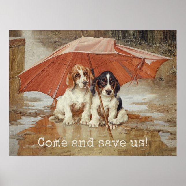 Basset hound puppies under umbrella CC0867 Trood Poster (Front)