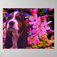 Basset Hound Puppy Blossoms Dog Art