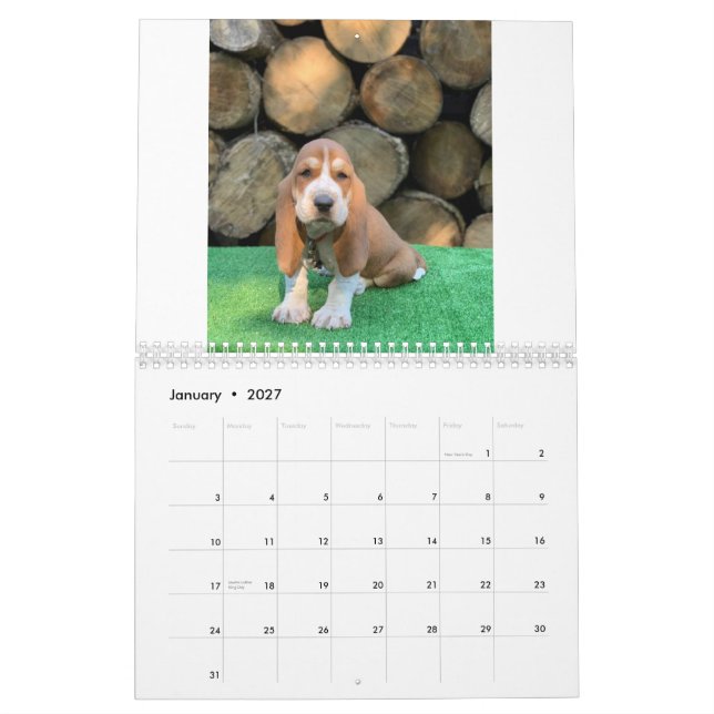 Basset hound puppy calendar (Jan 2027)