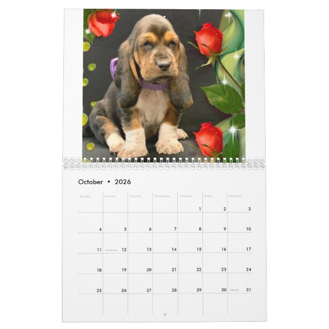 Basset hound puppy calendar (Oct 2026)