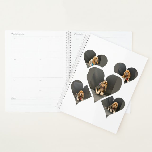 Basset hound puppy organizer (Display)