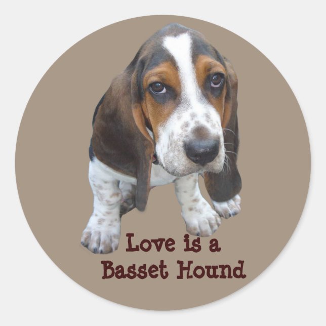 Basset Hound Puppy Sticker (Front)
