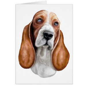Basset Hound Red & White