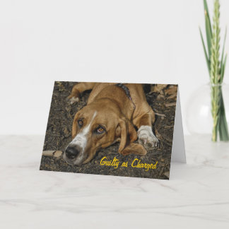 Basset Hound Rescue Dog Mable Apology Card