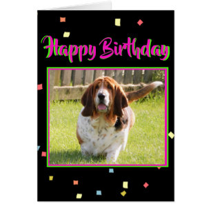 Basset Hound sur la carte d'anniversaire mignonne