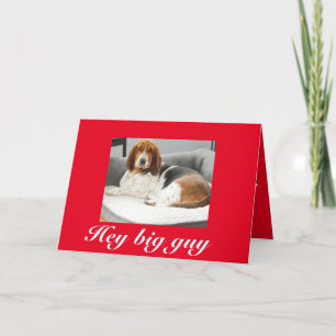 Basset hound sur la drôle de carte de Saint Valent