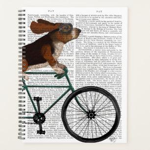 Basset Hound sur vélo