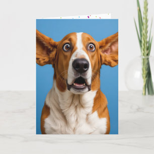 Basset Hound Surprised Birthday Card