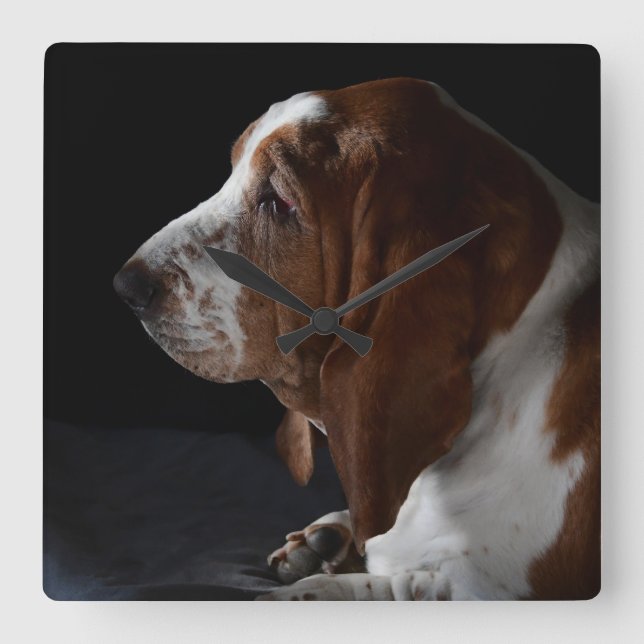 Basset Hound Waiting For You To Come Home Square Wall Clock (Front)