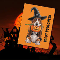 Basset hound wearing witches hat & pumpkin