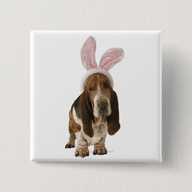 Basset hound with bunny ears 2 inch square button (Front)