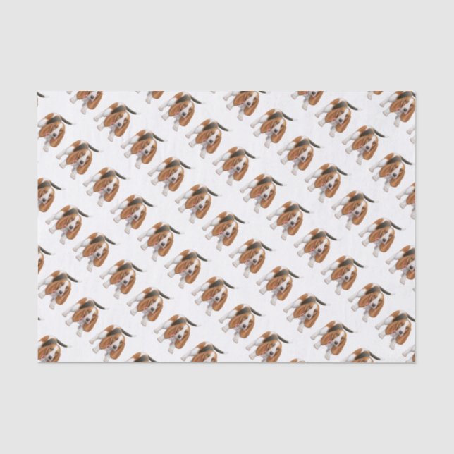 Basset Hound with Candy Cane Tissue Paper (Front)