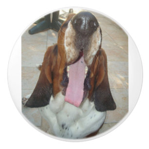 basset_hound yawning ceramic knob