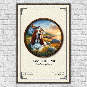 Basset Hound Zoology Series Poster