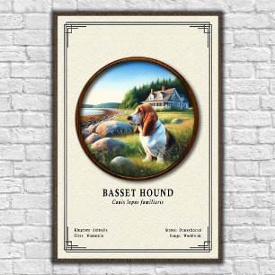 Basset Hound Zoology Series Poster