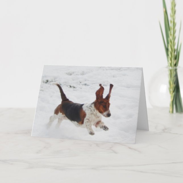 "Basset Hounds in the Wild" series note cards (Front)
