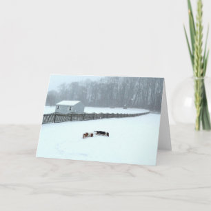 "Basset Hounds in the Wilds" series greeting cards