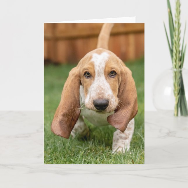Basset Houng Puppy Walking Card (Front)