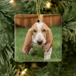 Basset Houng Puppy Walking Ceramic Ornament