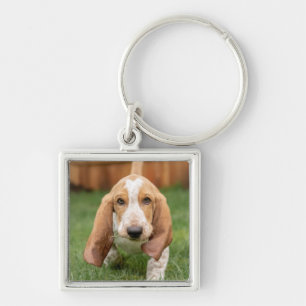Basset Houng Puppy Walking Keychain