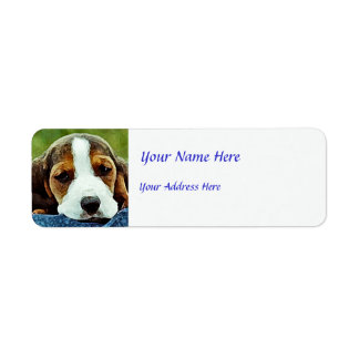 Basset Puppy Resting - Brown Black and White