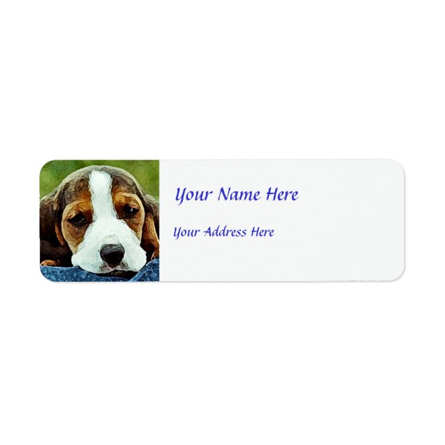 Basset Puppy Resting - Brown Black and White (Front)