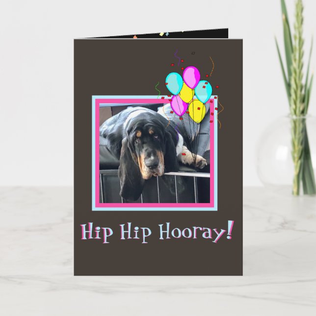 Basset triste et mou sur carte d'anniversaire amus (Devant)