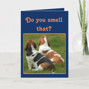 Bassets mignons sur la carte d'anniversaire drôle