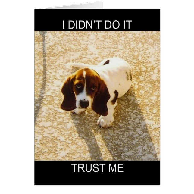 Bassett Hound Cards (Front)