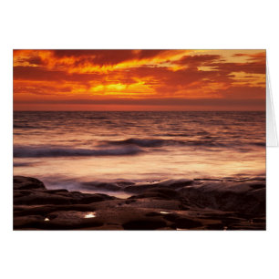 Bassins de marée de La Jolla