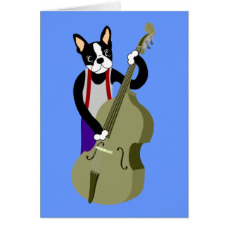Bassiste droit de Boston Terrier