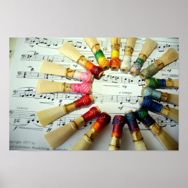 Bassoon Reed Rainbow Poster (Front)