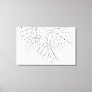 Basswood Leaves Canvas Print
