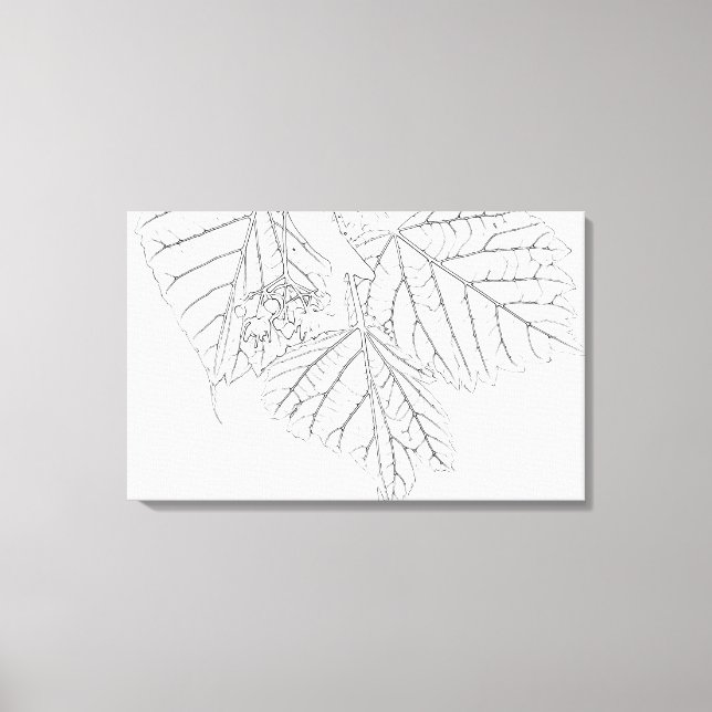 Basswood Leaves Canvas Print (Front)
