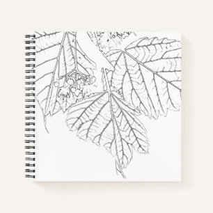 Basswood Leaves Notebook