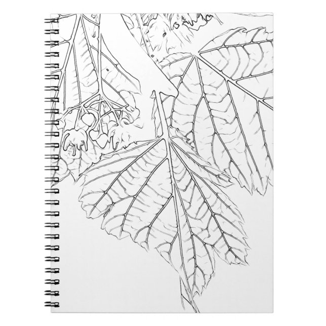 Basswood Leaves Notebook (Front)