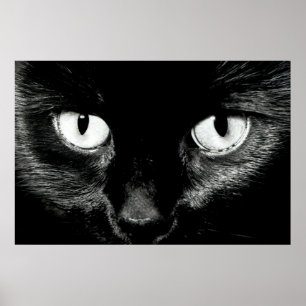 Bast Poster