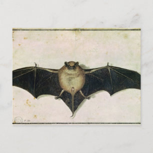 Bat, 1522 postcard