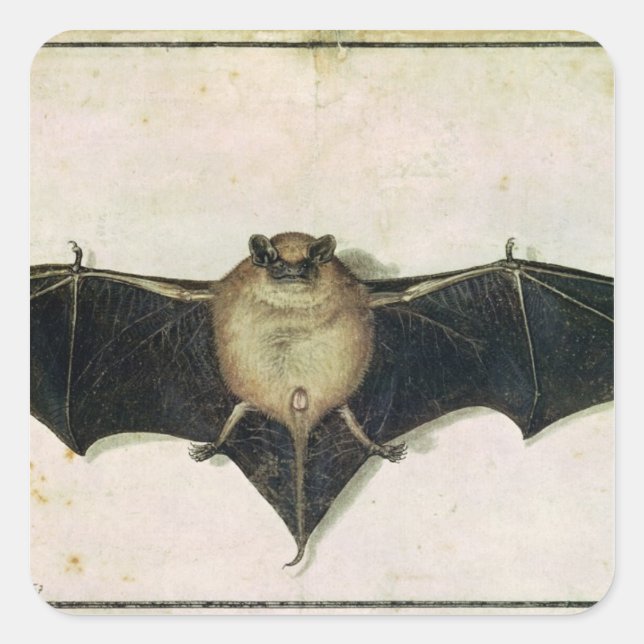 Bat, 1522 square sticker (Front)