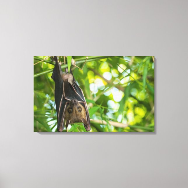 Bat Canvas Print (Front)