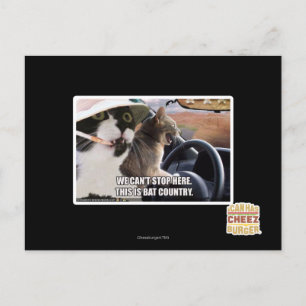 Bat country postcard