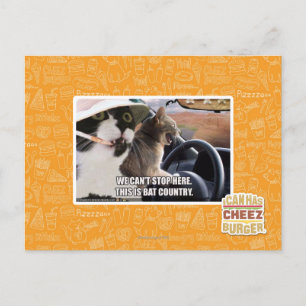 Bat country postcard